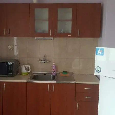 Pensión свети никола Sinemoretz